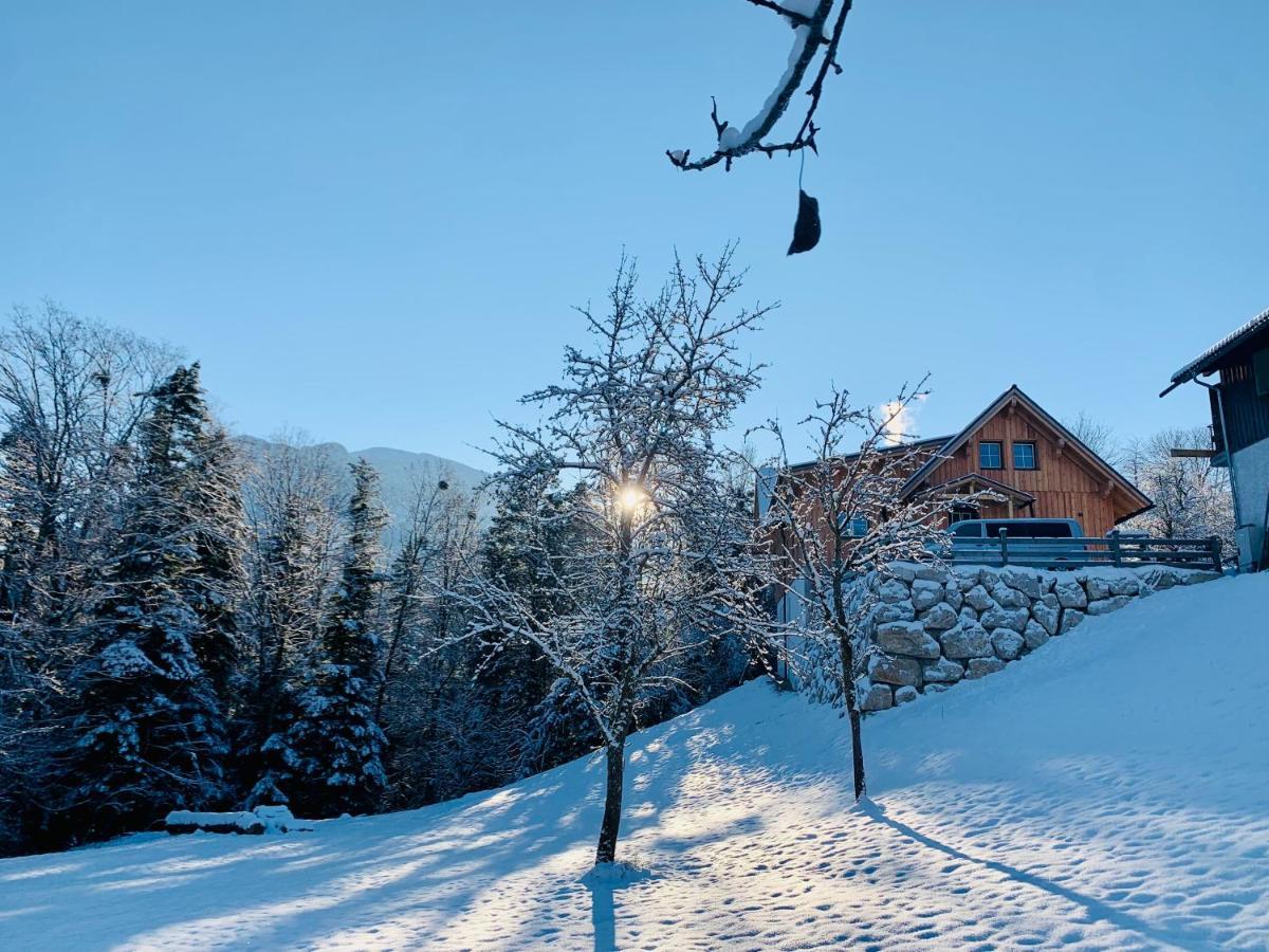 Bergheimat Apartment Bad Goisern Exterior photo