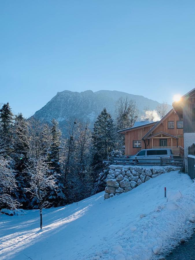 Bergheimat Apartment Bad Goisern Exterior photo